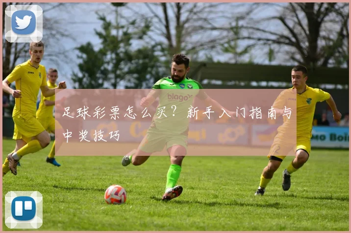 足球彩票怎么买？新手入门指南与中奖技巧