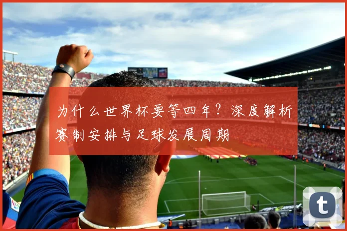 为什么世界杯要等四年？深度解析赛制安排与足球发展周期